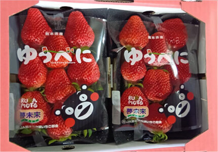 Yubeni Strawberry | Kumamoto Prefecture