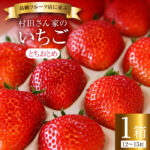 Tochi Otome Strawberry (Murata Farm) | Ibaragi Prefecture