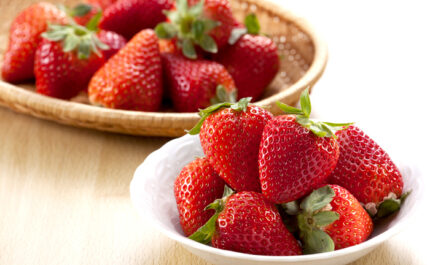 Yumenoka Strawberry | Nagasaki Prefecture