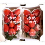 Yumenoka Strawberry | Nagasaki Prefecture