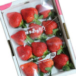 Amaou EX High Great | Fukuoka Prefecture