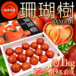 Sangojyo Tomato (Coral Tree) | Farm Direct | Tokushima Prefecture