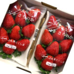 Sachinoka DX Strawberry | Tokushima Prefecture