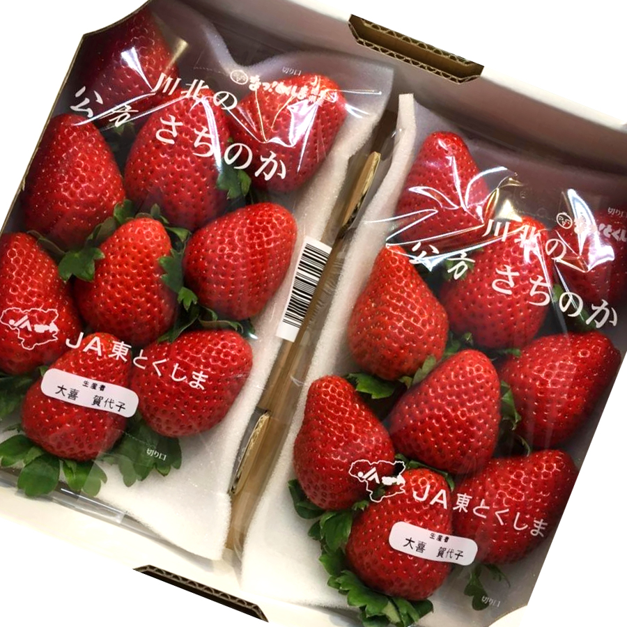 Sachinoka DX Strawberry | Tokushima Prefecture