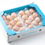 Pearl White Strawberry | Nara Prefecture