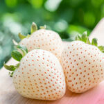 Yuki Usagi Strawberry (Premium Grade - Aka Shu) | Saga Prefecture