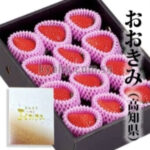 Ookimi Strawberry | Kouchi Prefecture