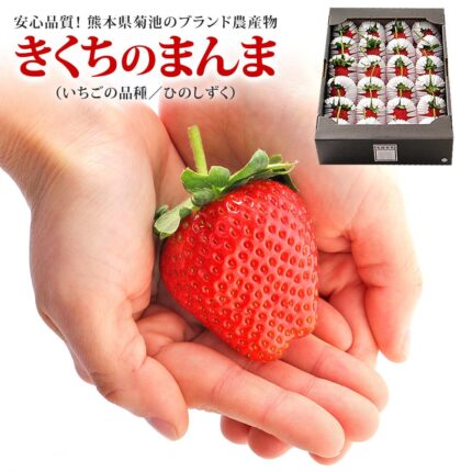 Hinoshizuku Strawberry | (With Branches) | Kumamoto Prefecture