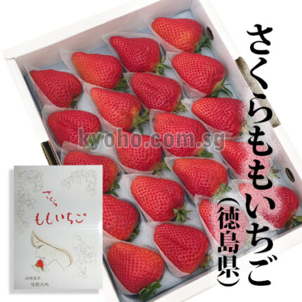 SAKURA MOMO Strawberry | Tokushima Prefecture | 20 Pcs