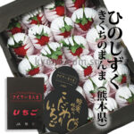 Hinoshizuku Strawberry (With Branches) | Kumamoto Prefecture | Gift Box