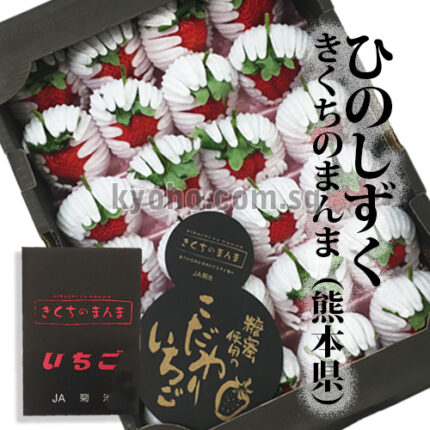 Hinoshizuku Strawberry (With Branches) | Kumamoto Prefecture | Gift Box