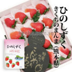 Hinoshizuku Strawberry | Kumamoto Prefecture | Gift Box