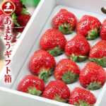 Amaou Strawberry | EX | Fukuoka Prefecture