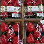 Amarin Strawberry | Saitama Prefecture