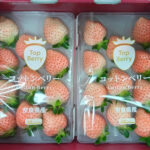 Cotton Berry Strawberry (Premium Strawberry) | Nara Prefecture | Pack 11 Pcs