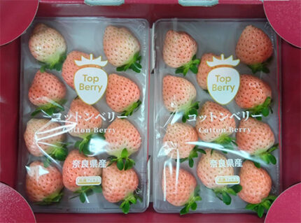 Cotton Berry Strawberry (Premium Strawberry) | Nara Prefecture | Pack 11 Pcs