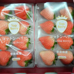 Cotton Berry Strawberry (Premium Strawberry) | Nara Prefecture | Pack 8 Pcs