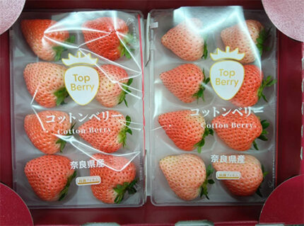 Cotton Berry Strawberry (Premium Strawberry) | Nara Prefecture | Pack 8 Pcs