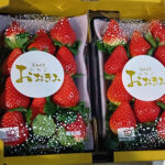 Ookimi Strawberry (Premium Quality) | Kouchi Prefecture