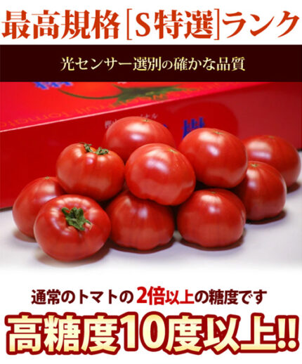 Sangojyo Tomato (Coral Tree) | Farm Direct | Tokushima Prefecture