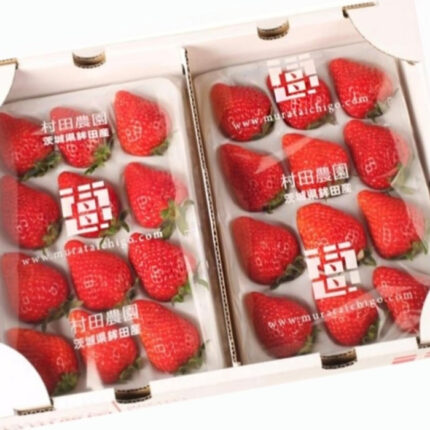 Tochi Otome Strawberry (Murata Farm) | Ibaragi Prefecture