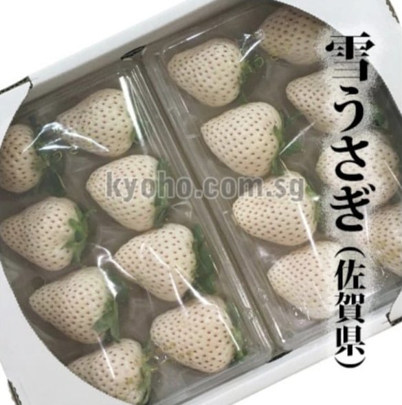 Yuki Usagi Strawberry (Premium Grade - Aka Shu) | Saga Prefecture