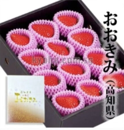 Ookimi Strawberry | Kouchi Prefecture