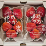 Yumenoka Strawberry | Tokushima Prefecture