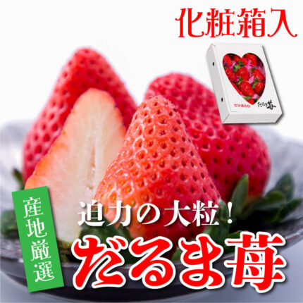 Sagahonoka Strawberry | Kouchi Prefecture