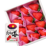 Sagahonoka Strawberry | Kouchi Prefecture