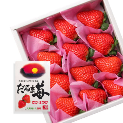 Sagahonoka Strawberry | Kouchi Prefecture