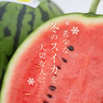 Luna Piana Premium Watermelon | Kouchi Prefecture