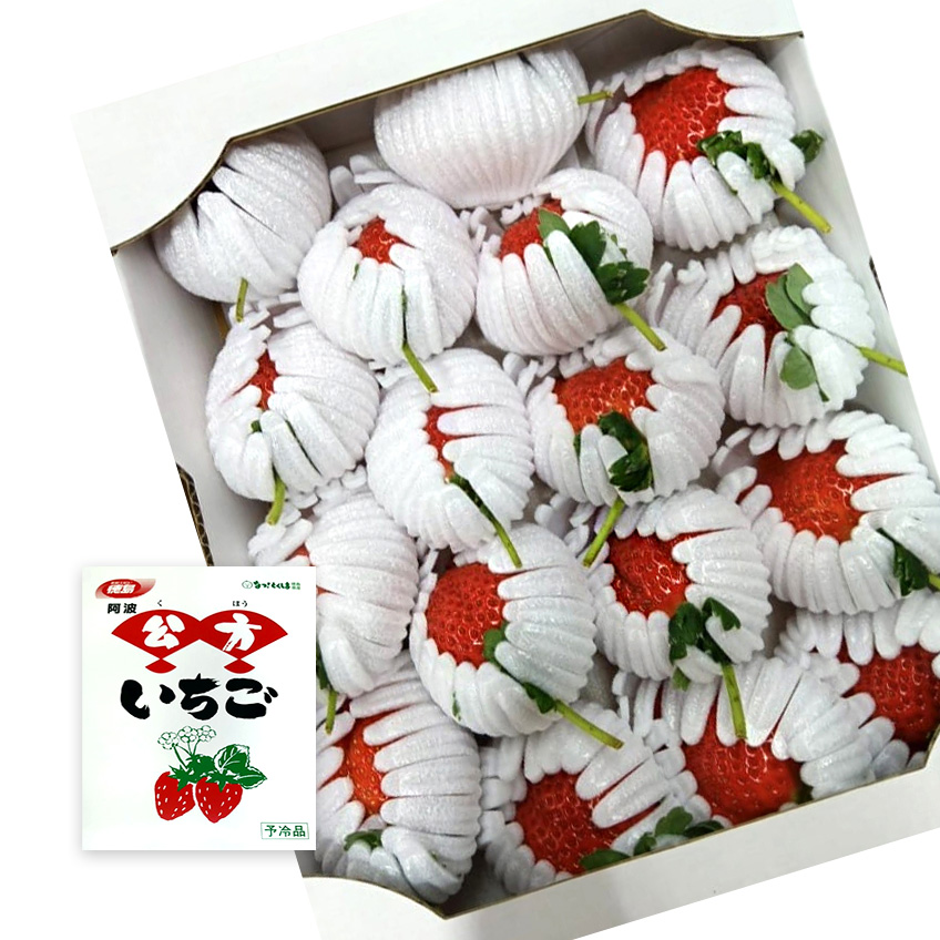 Sachinoka Strawberry | (With Branches) | Tokushima Prefecture
