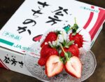 Sachinoka Strawberry | (With Branches) | Tokushima Prefecture