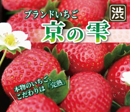 Kyo no Shizuku Strawberry | Premium | Kyoto City