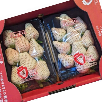 White Ruby Strawberry | New Variety | Saga Prefecture