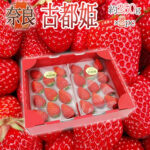 Kodohime Strawberry (New Variety) | Nara Prefecture