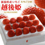 Echigo Hime Strawberry | Niigata Prefecture