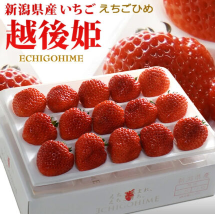 Echigo Hime Strawberry | Niigata Prefecture