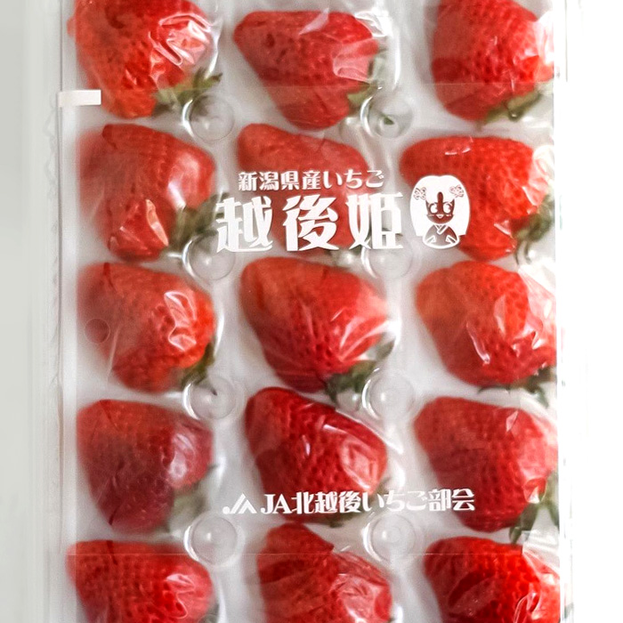 Echigo Hime Strawberry | Niigata Prefecture
