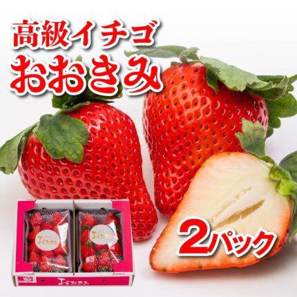 Ookimi Strawberry | Deluxe Grade | Saga Prefecture