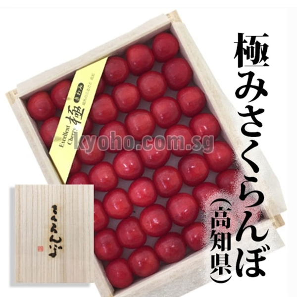 Satonishiki Cherry | Kiwami Grade | Kouchi Prefecture | 2L Size