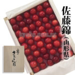 Satonishiki Cherry | Kiwami Grade | Kouchi Prefecture | L Size