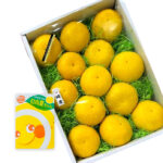Hyuganatsu Citrus (Seedless) | Miyazaki Prefecture