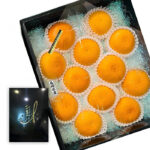 Setoka Orange (Seedless) | Nagasaki Prefecture | L Size