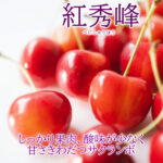 Benishuhou Cherry | Kiwami Grade | Kouchi Prefecture
