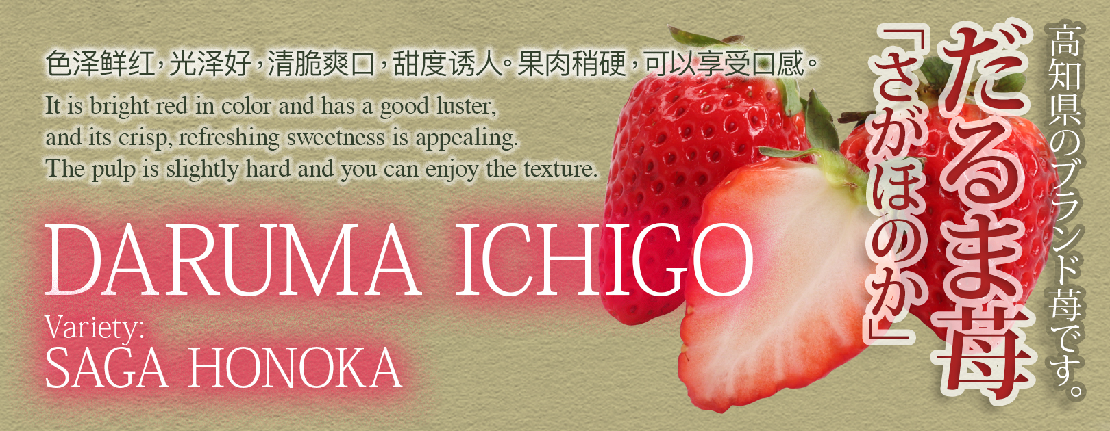 Sagahonoka Strawberry