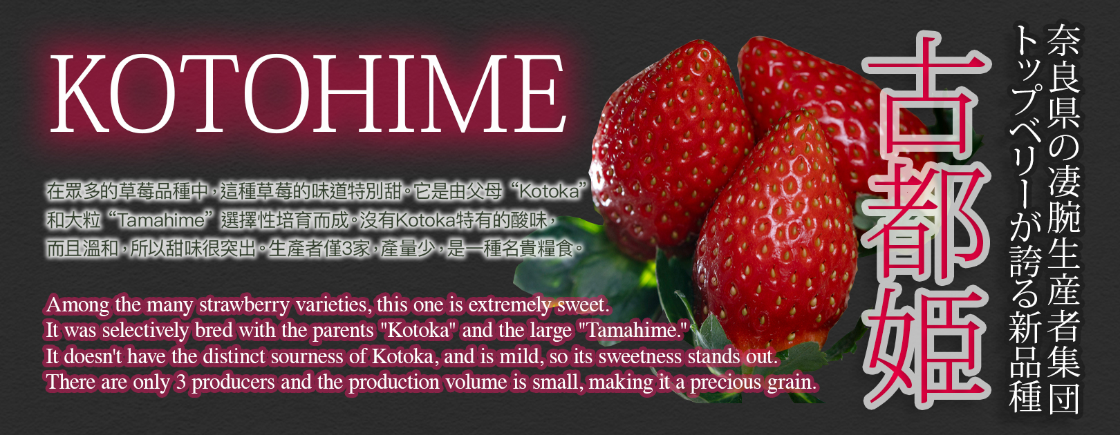 Kodohime Strawberry | New Variety | Nara Prefecture