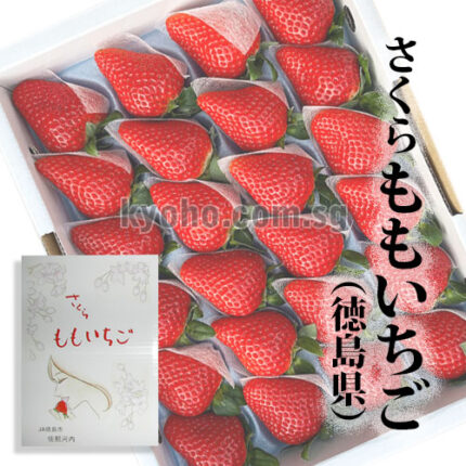 SAKURA MOMO Strawberry | Tokushima Prefecture | 24 Pcs