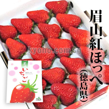 Benihoppei Strawberry | Tokushima Prefecture